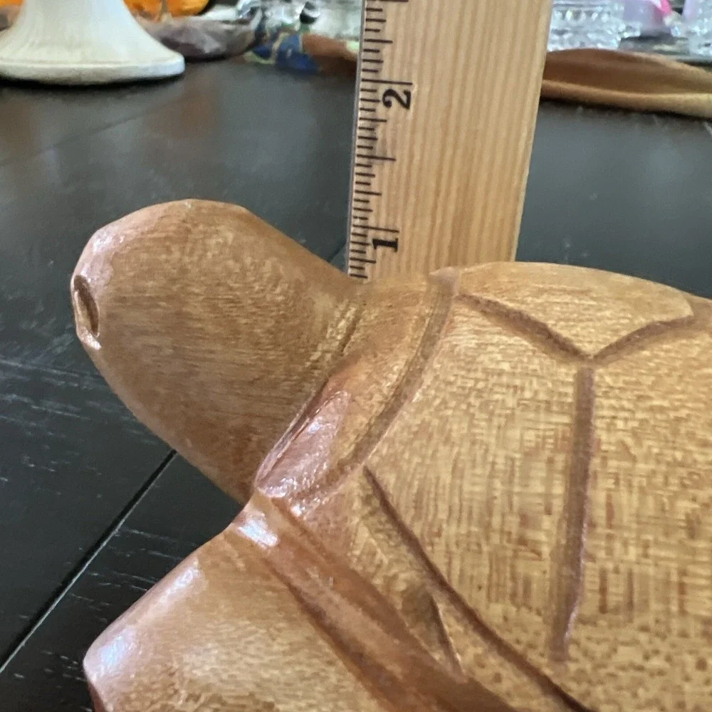 Wood Carved Turtle 5